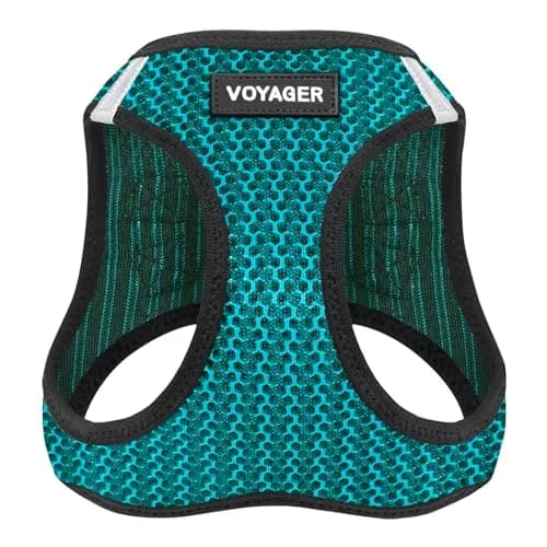 Best Pet Supplies Voyager Step-in Air Dog Vest Harness - Turquoise 2-Tone, Small | Breathable Mesh, Reflective Bands, Secure Fit thumbnail 1