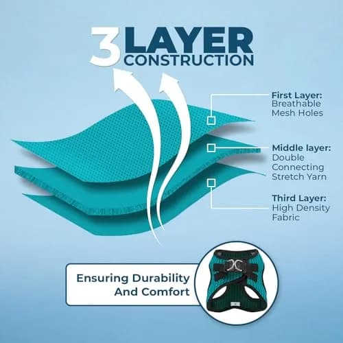 Best Pet Supplies Voyager Step-in Air Dog Vest Harness - Turquoise 2-Tone, Small | Breathable Mesh, Reflective Bands, Secure Fit thumbnail 4