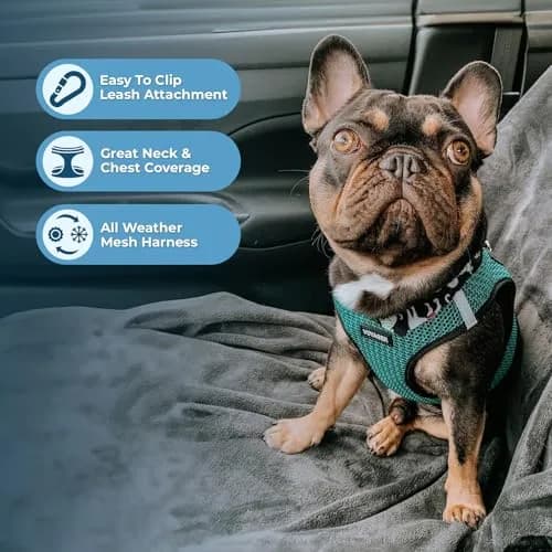 Best Pet Supplies Voyager Step-in Air Dog Vest Harness - Turquoise 2-Tone, Small | Breathable Mesh, Reflective Bands, Secure Fit thumbnail 2