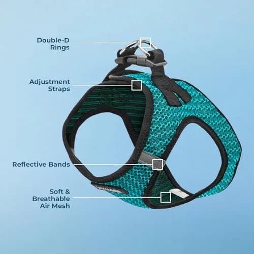 Best Pet Supplies Voyager Step-in Air Dog Vest Harness - Turquoise 2-Tone, Small | Breathable Mesh, Reflective Bands, Secure Fit thumbnail 3