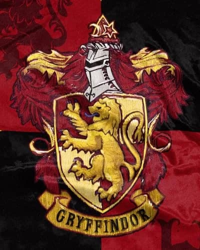 Northwest Harry Potter Gryffindor House Crests Silk Touch Throw Blanket 127x152 cm (50" x 60") | Official Merchandise for Fans thumbnail 4