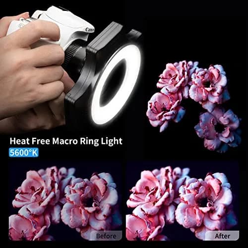 JJC Macro Ring Light with 49/52/55/58/62/67mm Adapter Rings | Bright Macro & Portrait Lighting thumbnail 2