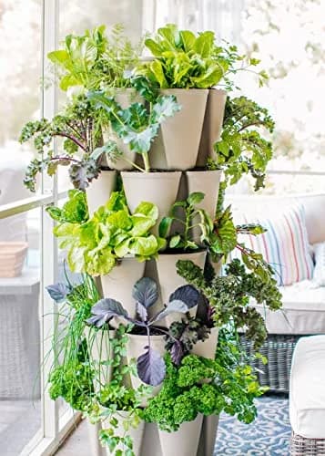 Greenstalk 5 Tier Vertical Garden Planter with Internal Watering System | Grow Vegetables & Flowers thumbnail 6