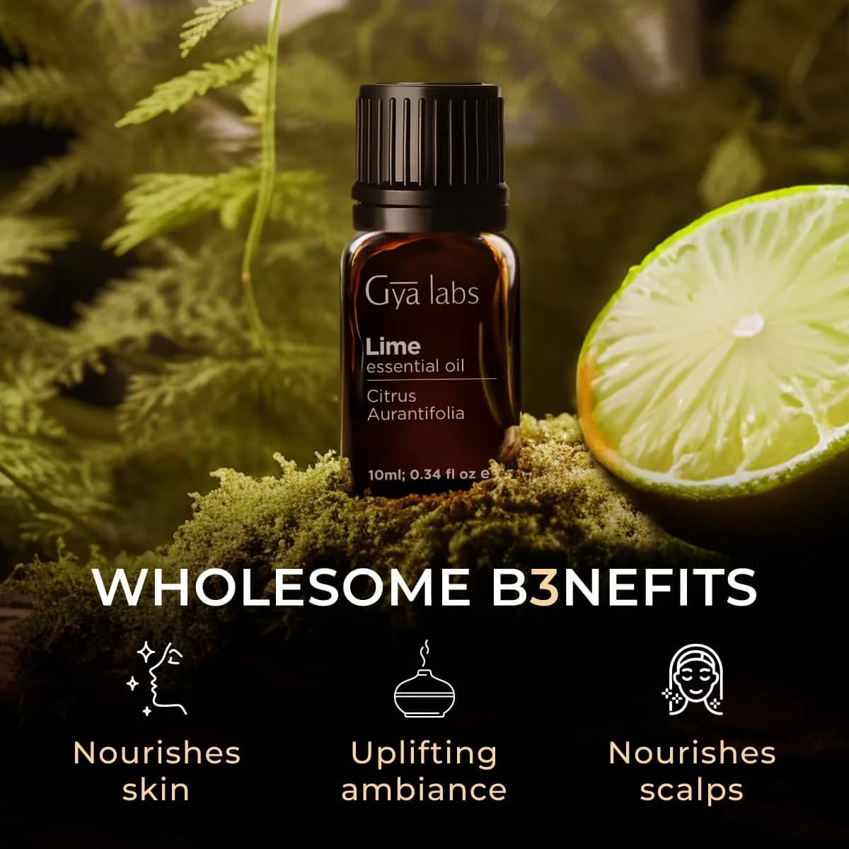 Gya Labs 100% Pure Lime Essential Oil for Skin, Hair & Candle Making Scent | Aromatherapy Grade 10ml (0.34 Fl Oz) - view 5