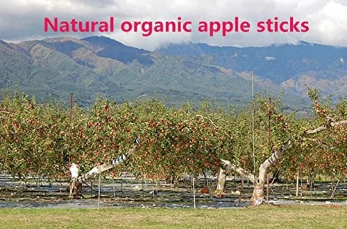 sharllen Apple Sticks Pet Chew Toys 300g | Natural Organic Small Animal Molar Treats thumbnail 6