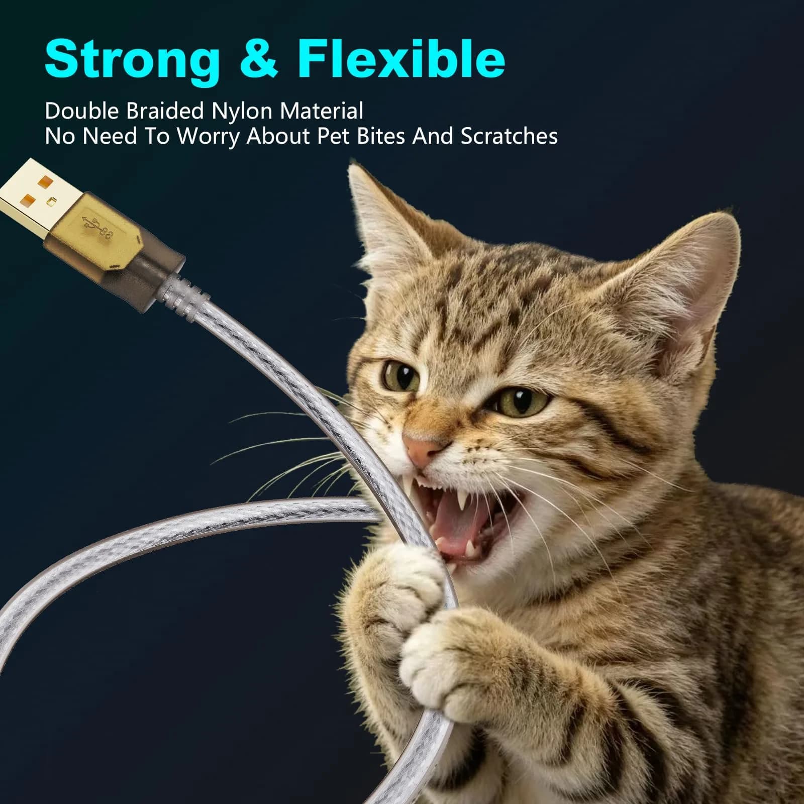 Jelly Tang USB 2.0 Printer Cable 1.5m (5 Ft) | High-Speed Data Transfer for Printers and Scanners - view 7