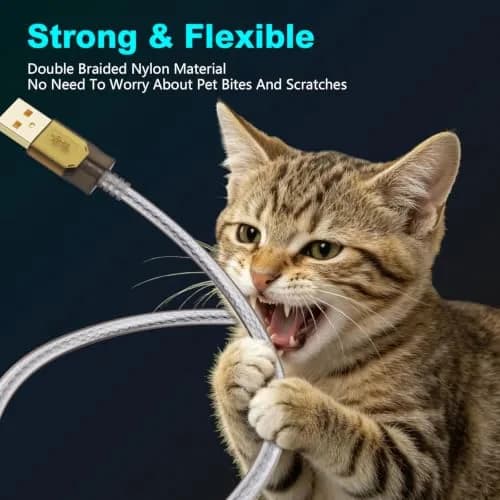 Jelly Tang USB 2.0 Printer Cable 2.43 m (8 ft) | High-Speed Data Transfer for Printers and Scanners thumbnail 7