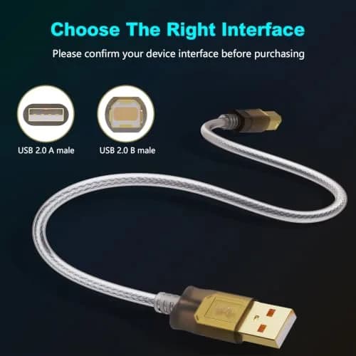 Jelly Tang USB 2.0 Printer Cable 2.43 m (8 ft) | High-Speed Data Transfer for Printers and Scanners thumbnail 2