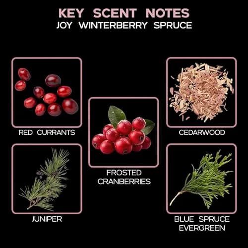 LOVSPA Reed Diffuser Set - Joy Winterberry Spruce 4oz | Long-Lasting, Flame-Free Home Fragrance thumbnail 9