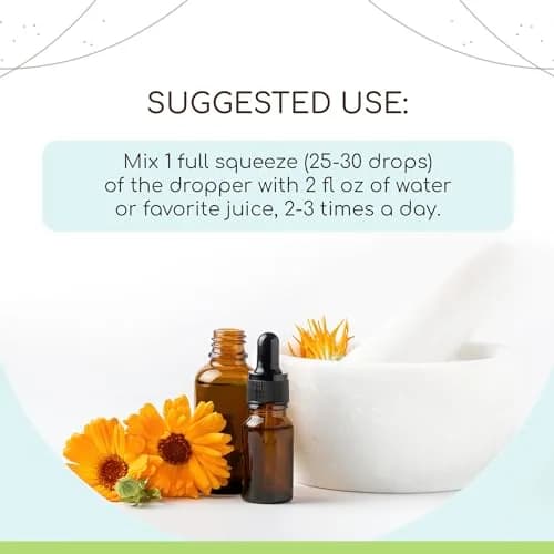 HerbEra Cleavers B120 Alcohol-Free Herbal Extract Tincture 118ml (4 fl oz) | Natural Cleavers Drops for Wellness thumbnail 2