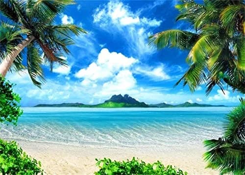 AOFOTO 10x8ft Tropical Beach Backdrop Summer Hawaii Palm Tree Photo Backdrops Sea Blue Sky Ocean Hawaiian Luau Party Background Seaside Vacation Wedding Birthday Banner Supplies Photo Shoot Props | Vibrant, Wrinkle-Free Vinyl thumbnail 2