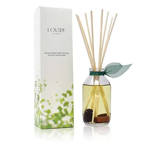 LOVSPA Reed Diffuser Set - Cinnamon Pine Cones Scented Diffuser with Sticks | Long-Lasting Aromatherapy for Small Spaces thumbnail 1