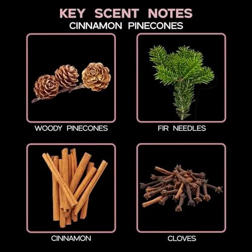 LOVSPA Reed Diffuser Set - Cinnamon Pine Cones Scented Diffuser with Sticks | Long-Lasting Aromatherapy for Small Spaces thumbnail 4