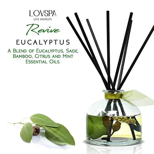 LOVSPA Eucalyptus Reed Diffuser Set 4.5 oz | Revive Fresh Eucalyptus, Sage, Citrus & Mint Scent with Diffuser Sticks thumbnail 3