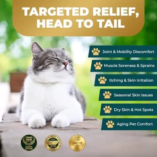 Real Time Pain Relief Pet Formula - 4oz Spray Bottle | Vet Recommended Relief for Pets thumbnail 4