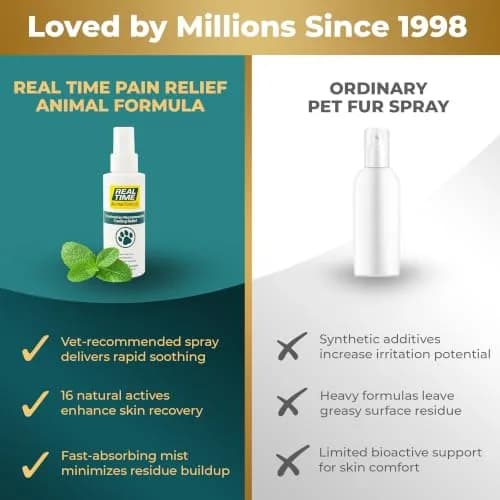 Real Time Pain Relief Pet Formula - 4oz Spray Bottle | Vet Recommended Relief for Pets thumbnail 6