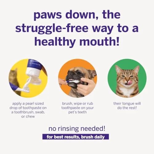 Petsmile Professional Pet Toothpaste London Broil 74ml (2.5 Oz) | VOHC Accepted Calprox® Powered thumbnail 4