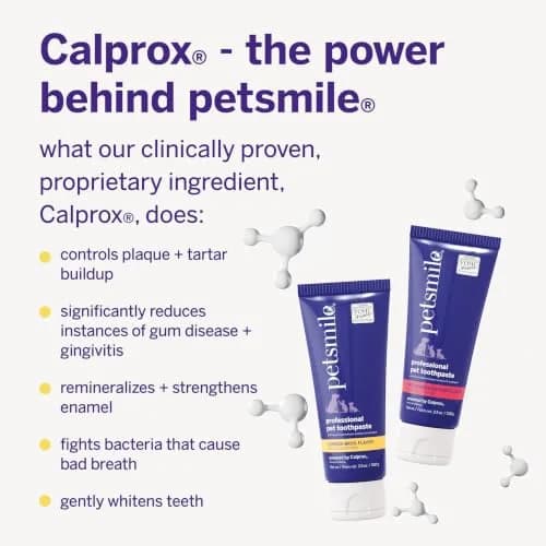 Petsmile Professional Pet Toothpaste London Broil 74ml (2.5 Oz) | VOHC Accepted Calprox® Powered thumbnail 5