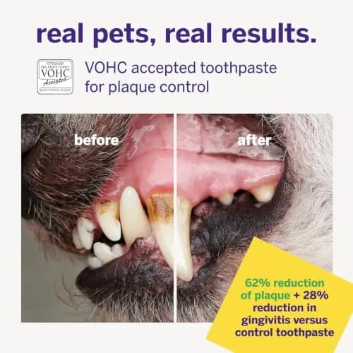 Petsmile Professional Pet Toothpaste London Broil 74ml (2.5 Oz) | VOHC Accepted Calprox® Powered thumbnail 6