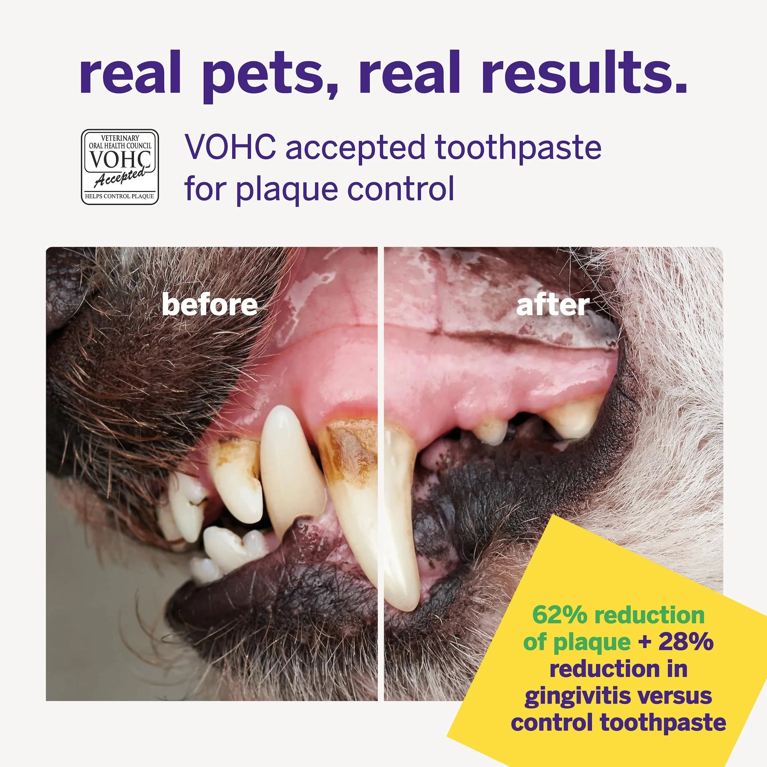 Petsmile Professional Pet Toothpaste London Broil 74ml (2.5 Oz) | VOHC Accepted Calprox® Powered - view 6