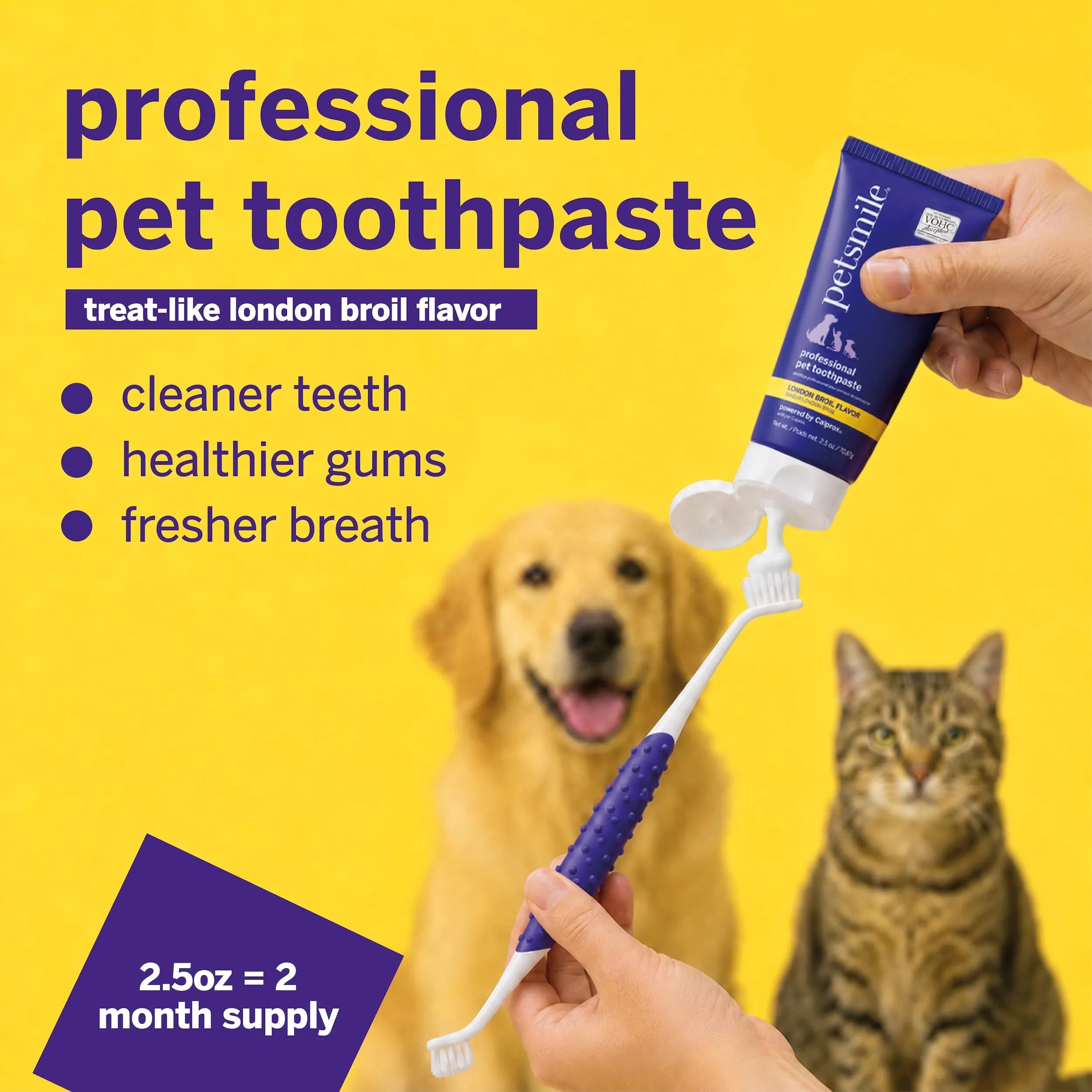 Petsmile Professional Pet Toothpaste London Broil 74ml (2.5 Oz) | VOHC Accepted Calprox® Powered - view 2