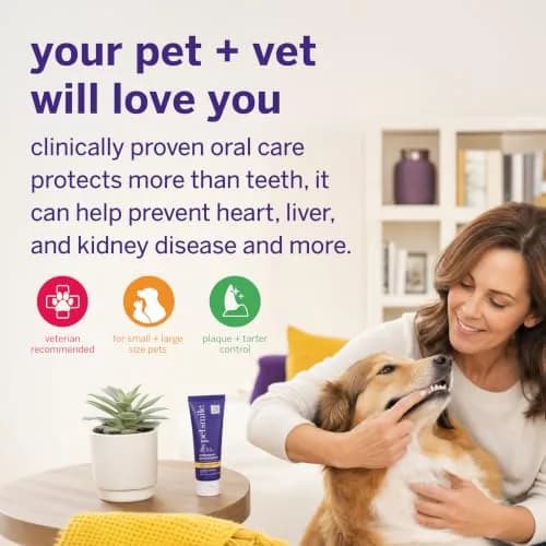 Petsmile Professional Pet Toothpaste London Broil 74ml (2.5 Oz) | VOHC Accepted Calprox® Powered thumbnail 3