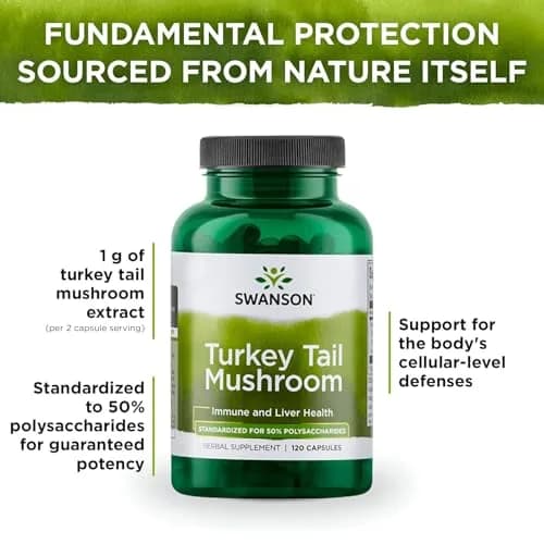Swanson Turkey Tail Mushroom 500 mg 480 Count (Pack of 4) | Immune System Support with 45% Beta Glucans thumbnail 5
