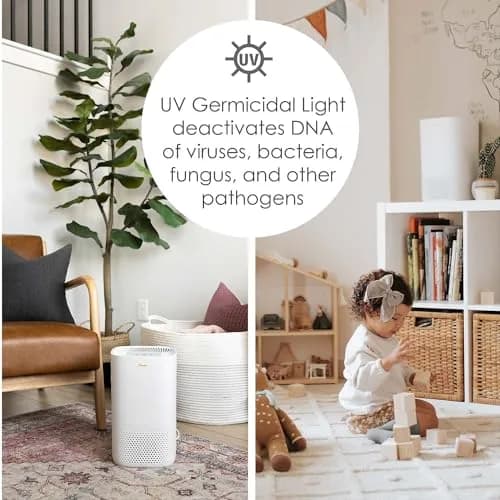Crane Air Purifier with True HEPA Filter, UV Light, 250 Sq Feet Coverage | Sleep Mode & Timer thumbnail 5