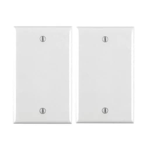 Leviton 1-Gang Blank Wall Plate White 2-Pack | Standard Size Thermoplastic Nylon Box Mount thumbnail 1