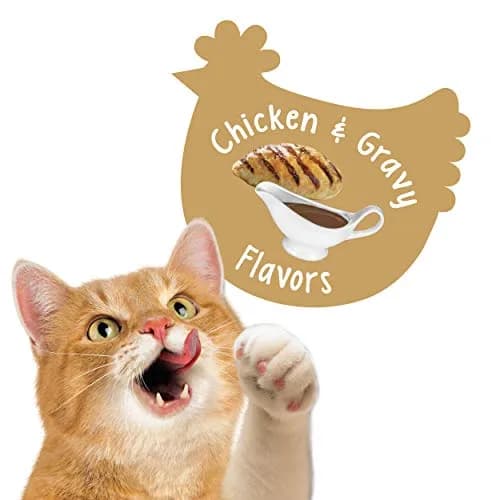 Purina Friskies Party Mix Gravy-licious Crunch Chicken & Gravy Cat Treats 567 g (20 oz) | Irresistible Chicken Flavor thumbnail 3