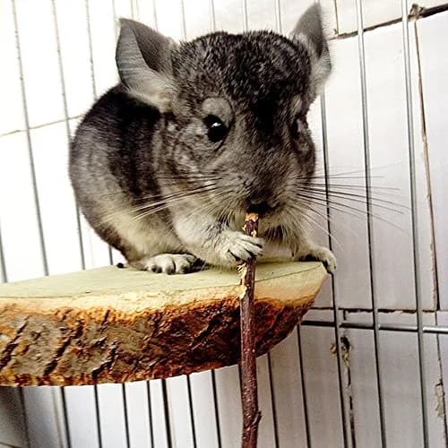 Sharllen Apple Sticks Pet Chew Toys for Rabbits & Small Animals | Organic 500g (18oz) | Supports Healthy Teeth thumbnail 4