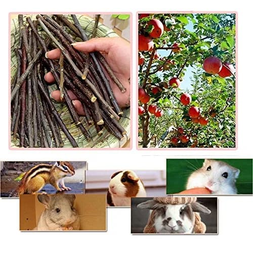 Sharllen Apple Sticks Pet Chew Toys for Rabbits & Small Animals | Organic 500g (18oz) | Supports Healthy Teeth thumbnail 5