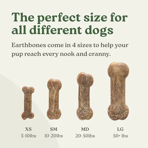 Earthly Presidio Earthbones Dental Chews for Dogs | Large, 6 Treats | Natural Dental Care thumbnail 5