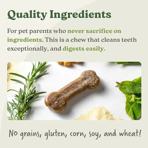 Earthly Presidio Earthbones Dental Chews for Dogs | Large, 6 Treats | Natural Dental Care thumbnail 3
