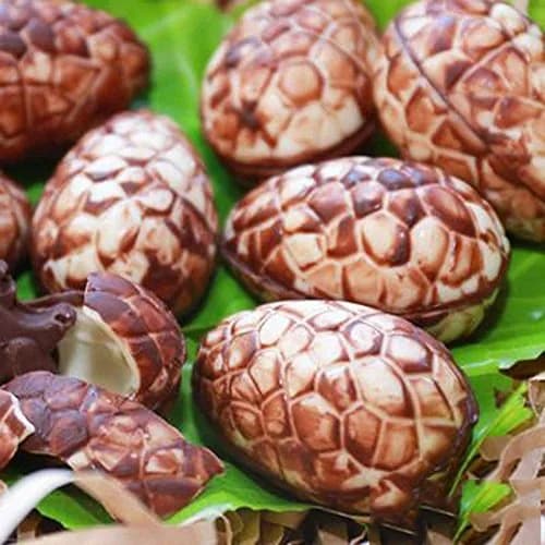 MoldFun Giant Surprise Toy Egg Maker - Easter Egg Mold, Dinosaur Polycarbonate Plastic Mould for Chocolate, Jello, Soap, Bath Bomb, Lotion Bar, Clay, Plaster, Cake Decorating Tool thumbnail 5