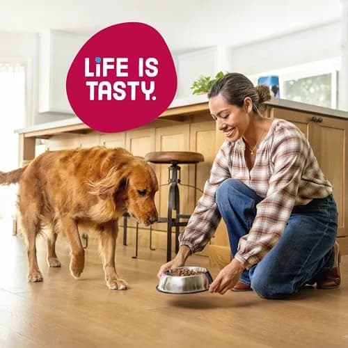 Kibbles 'n Bits Bistro Dry Dog Food, Beef Flavor, 3.5 lb. Bag, 4-Pack | Oven Roasted Beef & Veggies thumbnail 6