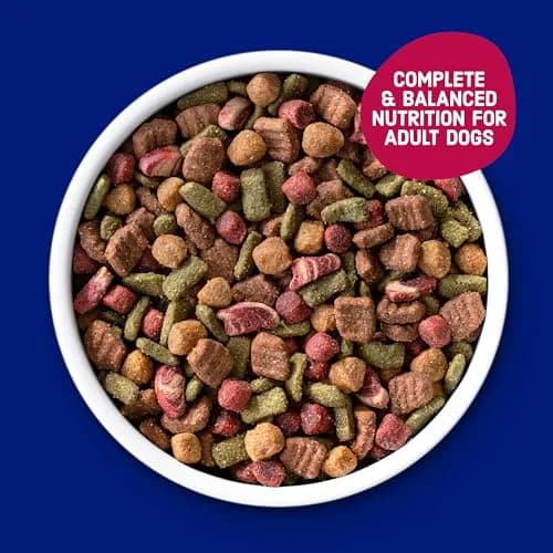 Kibbles 'n Bits Bistro Dry Dog Food, Beef Flavor, 3.5 lb. Bag, 4-Pack | Oven Roasted Beef & Veggies thumbnail 3