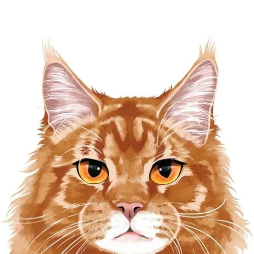 MUGBREW Ginger Orange Tabby Maine Coon Cat Ceramic Coffee Mug Tea Cup 11 OZ | Unique Ginger Orange Maine Coon Design thumbnail 4