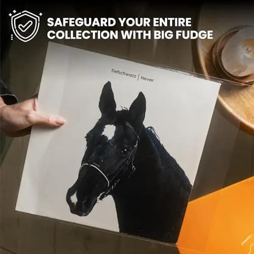 Big Fudge 12" Vinyl Record Sleeves - Outer Sleeves 100 Pack - Crystal Clear High-Density Polypropylene Vinyl Covers thumbnail 2