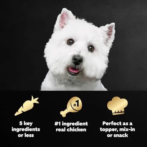 Cesar Simply Crafted Dog Food Toppers, Chicken & Green Beans, 1.3 oz, 10 ct | Real Chicken & Veggies, Easy to Digest thumbnail 2