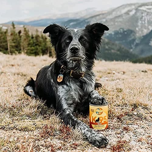 Earthborn Holistic K95 Beef Recipe Grain-Free Canned Dog Food 13 oz Can | 95% Real Beef, Grain-Free Nutrition thumbnail 6