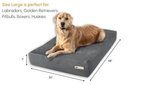Big Barker Large Orthopedic Dog Bed 48x30x7 in Charcoal | 10-Year Shape Guarantee for Large Dogs thumbnail 2