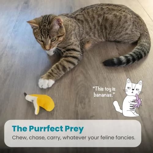 Catstages Dental Banana Cat Toy with Catnip, Dental Mesh & Crinkle Sound, Interactive Kicker for Indoor Cats & Kittens, 13.5cm (5.3") thumbnail 5