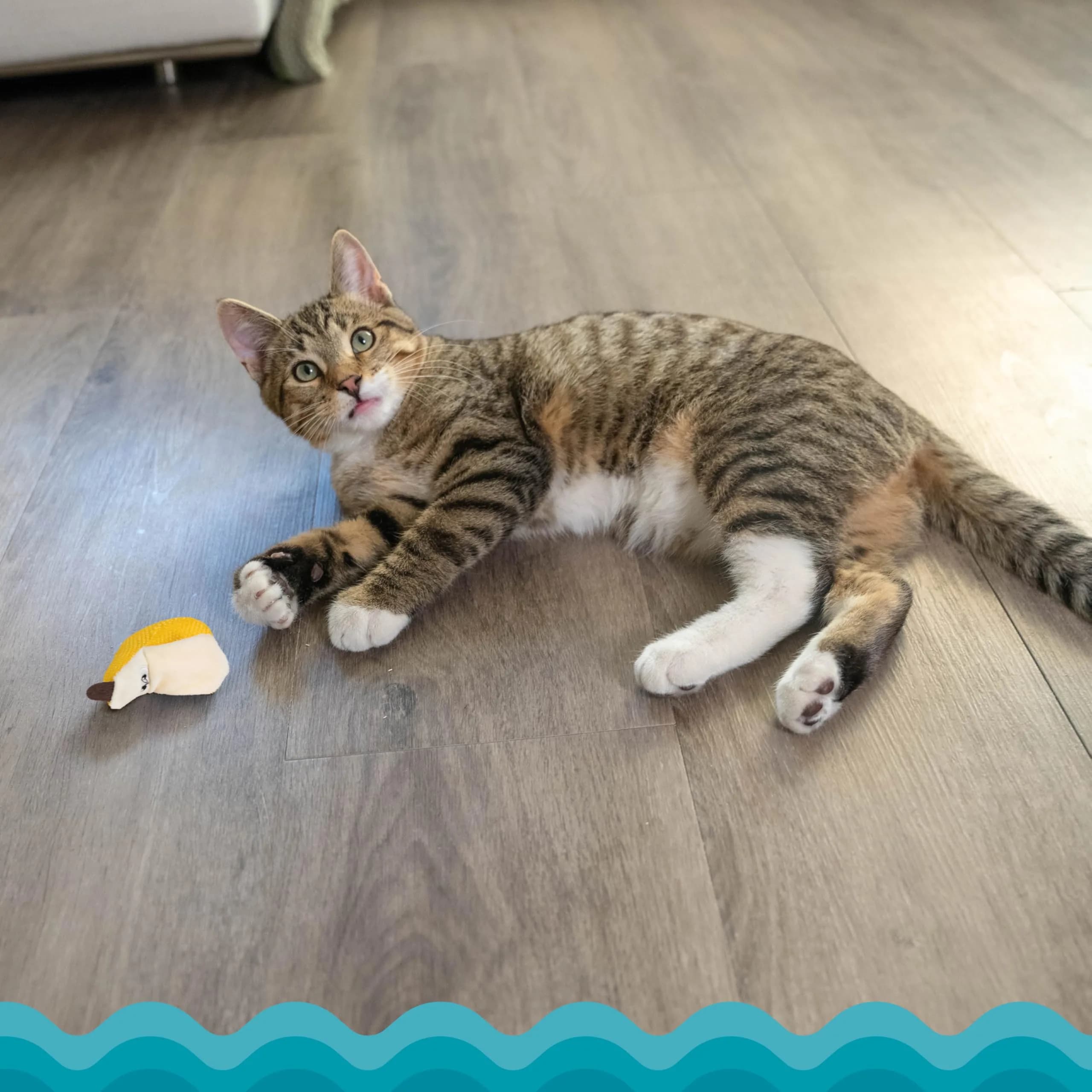 Catstages Dental Banana Cat Toy with Catnip, Dental Mesh & Crinkle Sound, Interactive Kicker for Indoor Cats & Kittens, 13.5cm (5.3") - view 6
