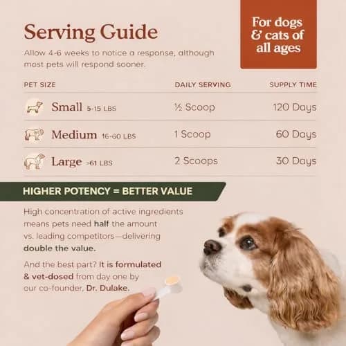 Fera Pets Organic Probiotics for Dogs & Cats with Prebiotics, 60 Scoops | USDA Organic Gut Health Powder Supplement with 12 Strains and 5 Billion CFUs thumbnail 4
