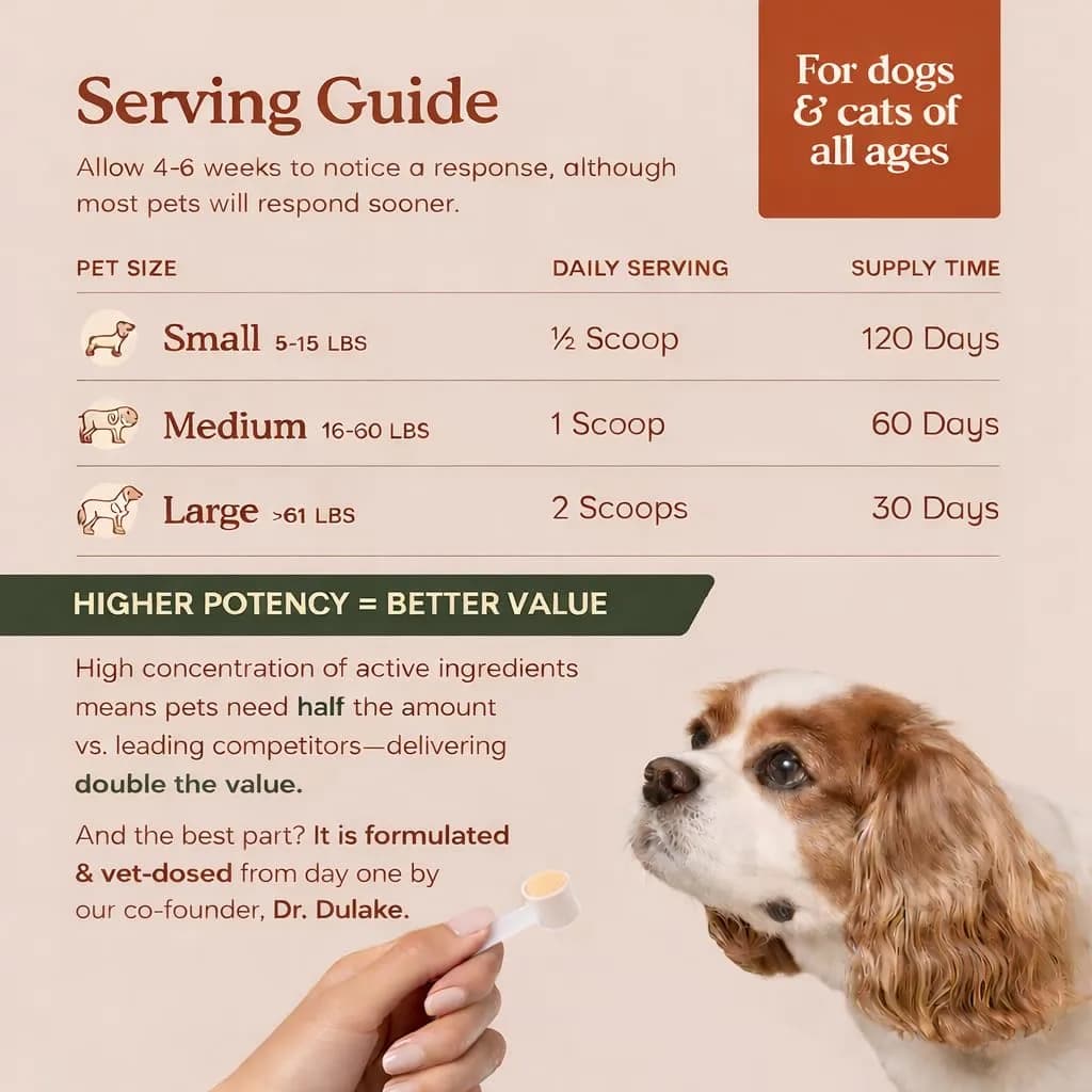 Fera Pets Organic Probiotics for Dogs & Cats with Prebiotics, 60 Scoops | USDA Organic Gut Health Powder Supplement with 12 Strains and 5 Billion CFUs - view 4