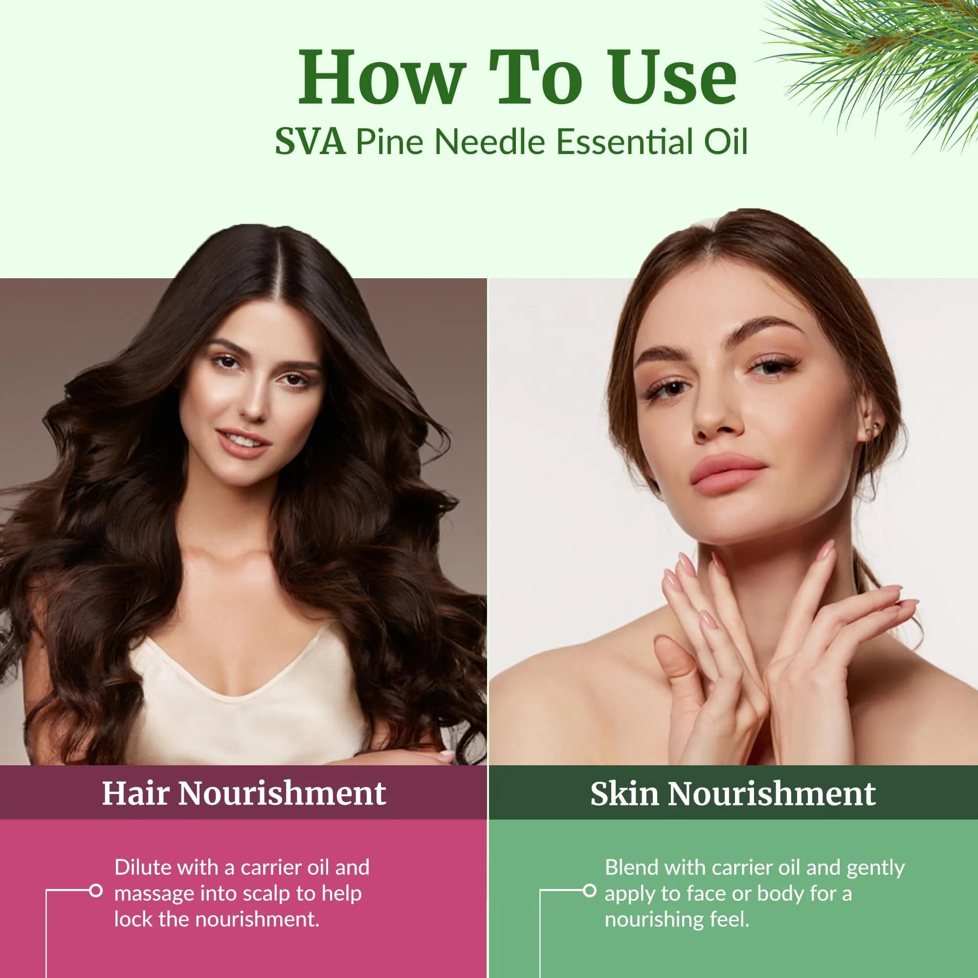 SVA ORGANICS Pine Needle Essential Oil 118 ml (4 Fl Oz) | Natural Woody Aroma for Diffuser & DIY - view 5