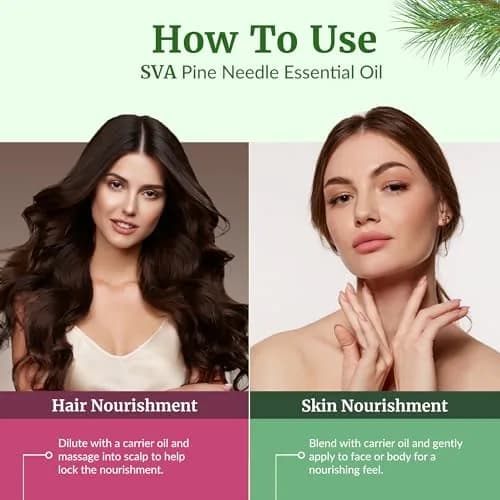 SVA ORGANICS Pine Needle Essential Oil 118 ml (4 Fl Oz) | Natural Woody Aroma for Diffuser & DIY thumbnail 5