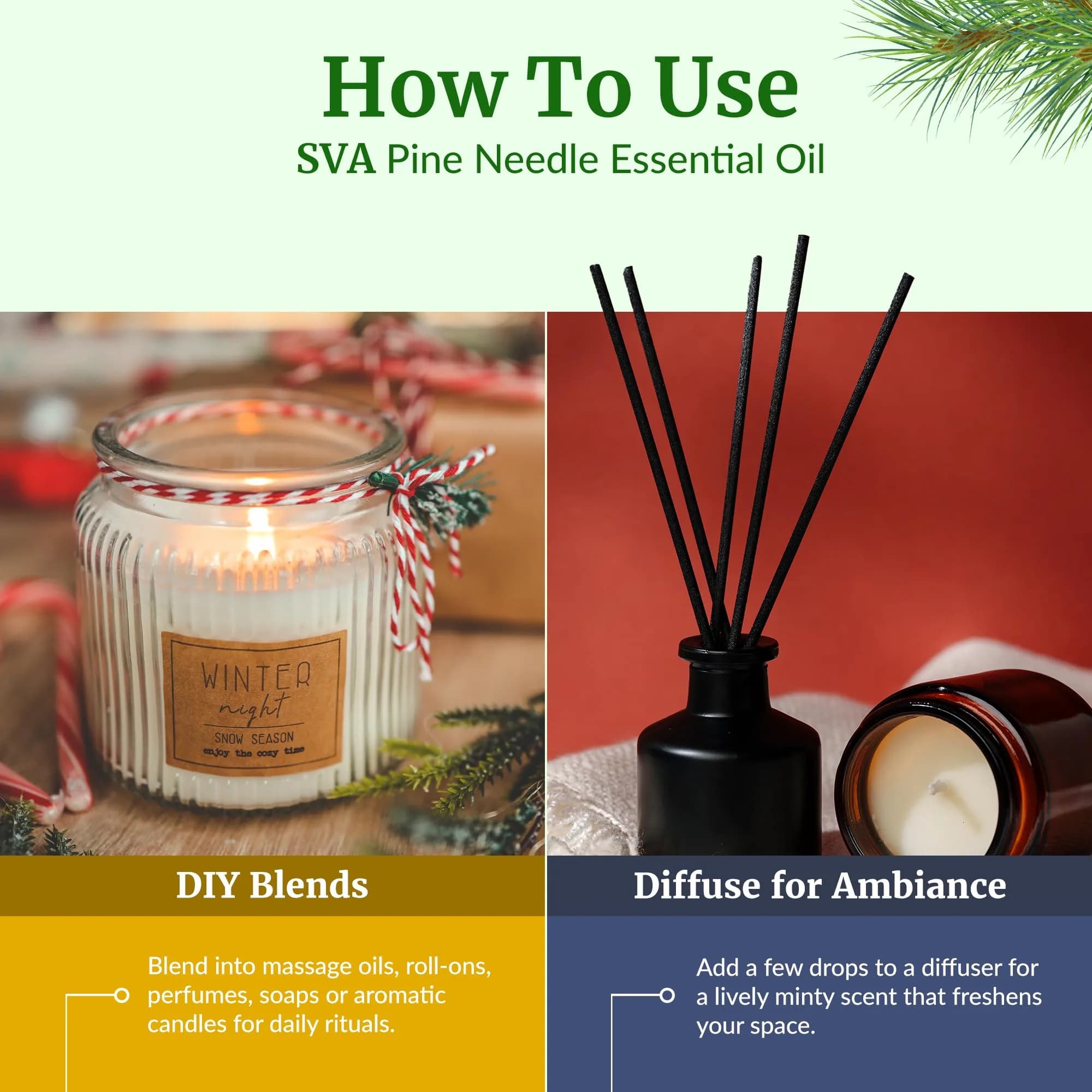 SVA ORGANICS Pine Needle Essential Oil 118 ml (4 Fl Oz) | Natural Woody Aroma for Diffuser & DIY - view 6