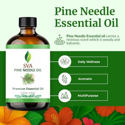 SVA ORGANICS Pine Needle Essential Oil 118 ml (4 Fl Oz) | Natural Woody Aroma for Diffuser & DIY thumbnail 2